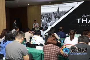 海南湛江头条事件,揭秘背后真相与影响