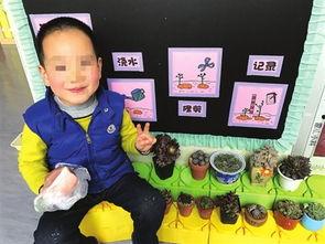 吃瓜幼儿园,揭秘幼儿乐园里的欢乐时光