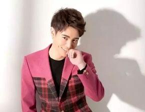 杭州男明星,闪耀星河中的璀璨星辰