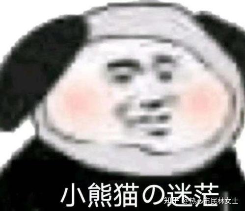 莎头吃瓜表情包,揭秘网络热图的魅力与传播