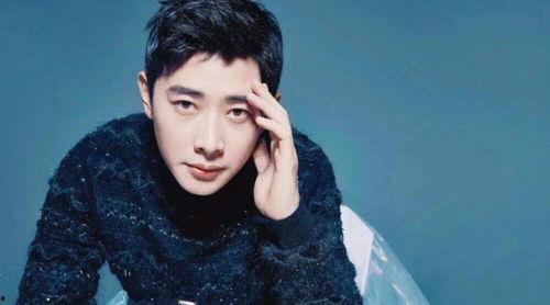 有编制的年轻明星