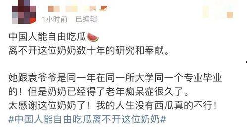 吃瓜列表一91,探寻91号背后的秘密与故事