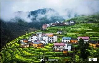 开化市油溪口新闻头条,聚焦发展新动态，共绘乡村振兴新画卷