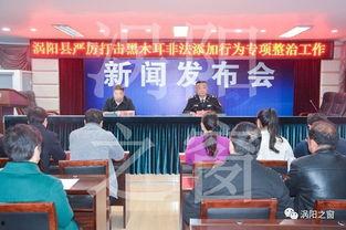 涡阳新闻头条王陈,王陈事件引发社会关注