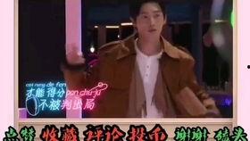 明星大侦探mv大全,探秘悬疑世界，明星侦探们的精彩对决