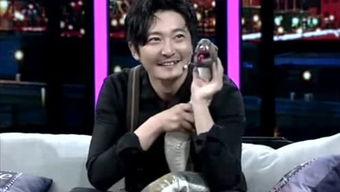 快手网红丁磊个人资料